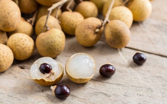 Longan: photo of fruit, plant, health benefits and harms