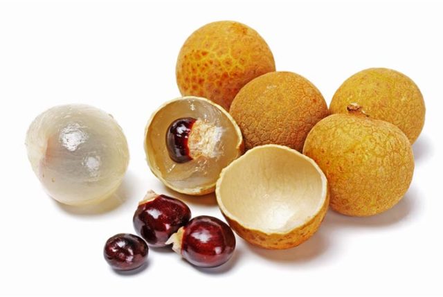 Longan: photo of fruit, plant, health benefits and harms