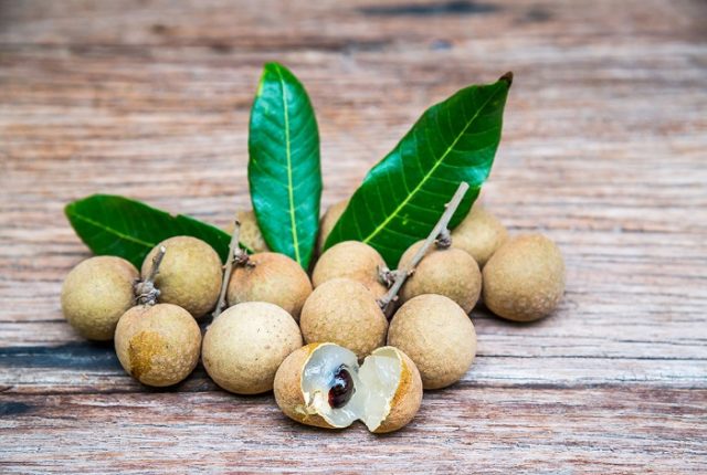 Longan: photo of fruit, plant, health benefits and harms