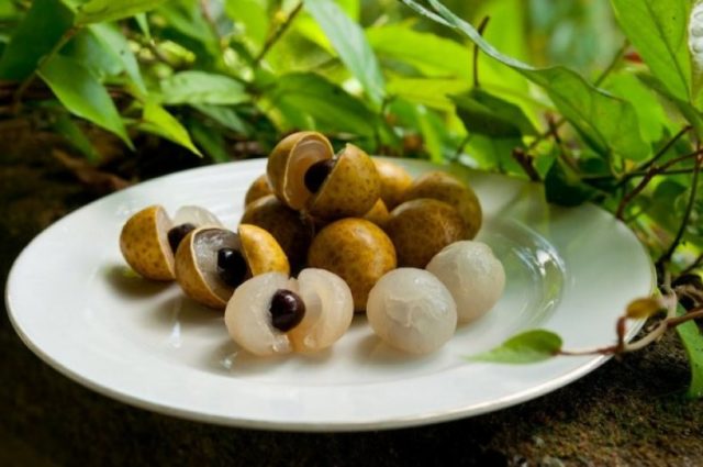 Longan: photo of fruit, plant, health benefits and harms