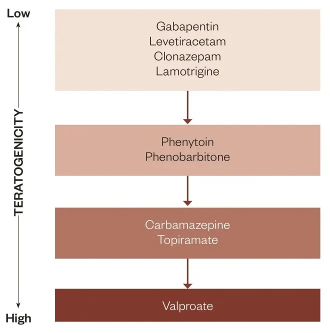 Lots of antiepileptic drugs in pregnancy, and worse academic performance