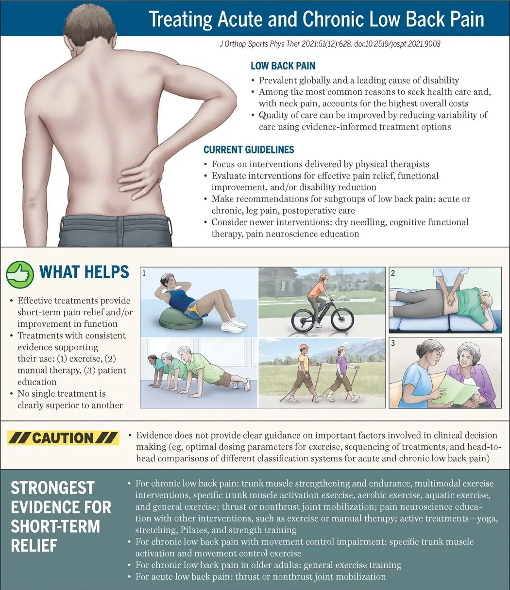 Lower back pain &#8211; causes, treatment, symptoms, exercises