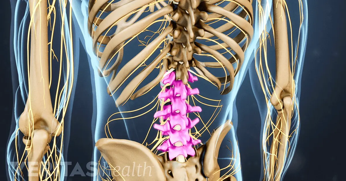 Lumbar spine &#8211; how many vertebrae does it consist of? Causes of pain in the lumbar spine