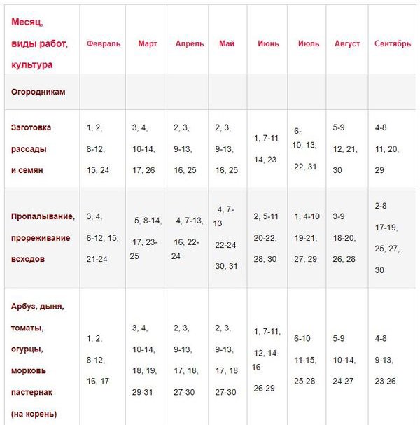 Lunar calendar for carrots: favorable days for planting and caring for crops in 2022