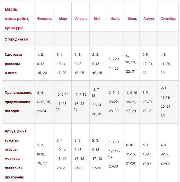 Lunar calendar for carrots: favorable days for planting and caring for crops in 2022