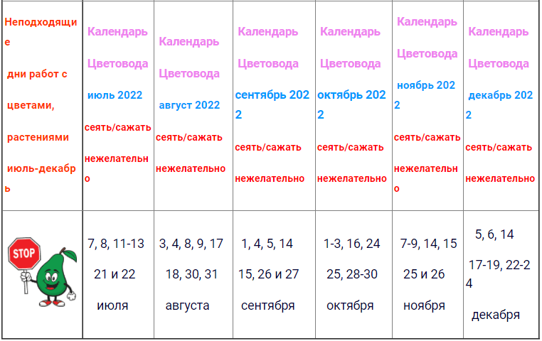 Календарь цветовода на год Lunar calendar for November 2022 for indoor flowers: planting, transplanting, ca