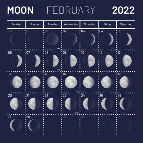 Lunar calendar of the gardener-gardener for February 2022 of the year ...