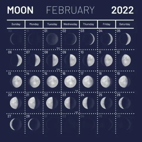 Lunar calendar of the gardener-gardener for February 2022 of the year