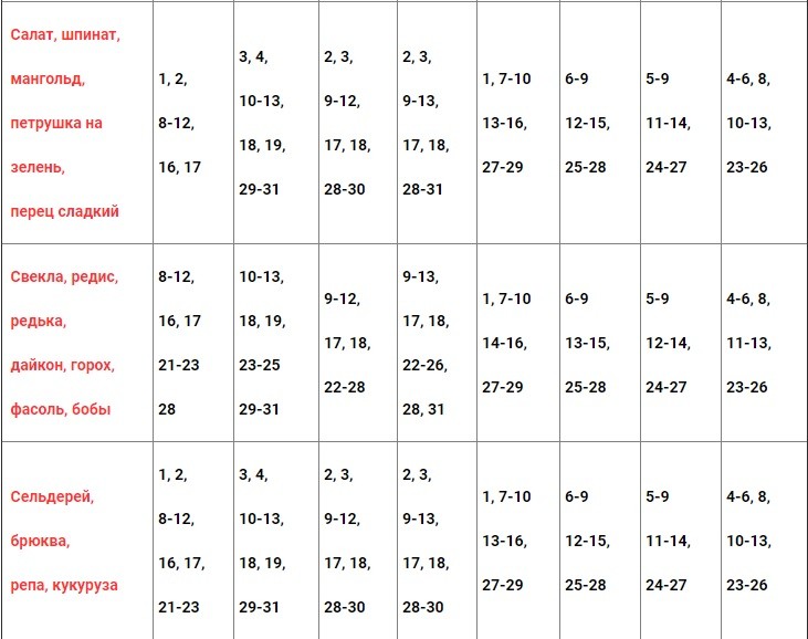 Lunar gardener calendar for Belarus for 2022: planting seeds and seedlings, monthly work plan + influence of the phases of the moon