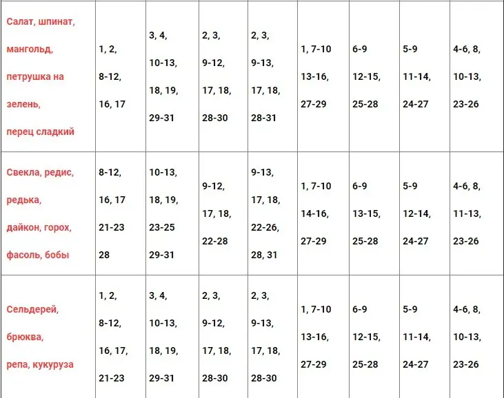 Lunar gardener calendar for Belarus for 2022: planting seeds and seedlings, monthly work plan + influence of the phases of the moon