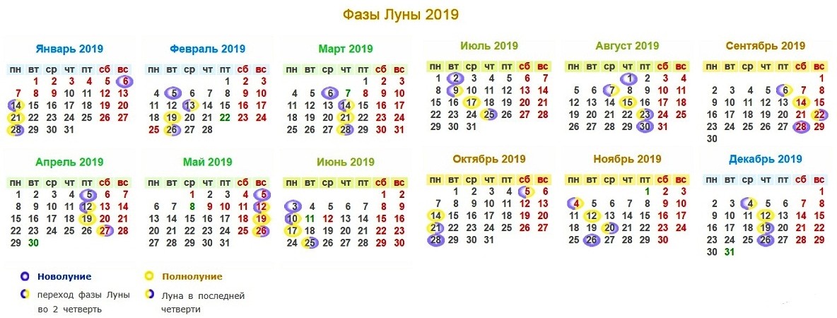 Lunar gardener calendar for Belarus for 2022: planting seeds and seedlings, monthly work plan + influence of the phases of the moon