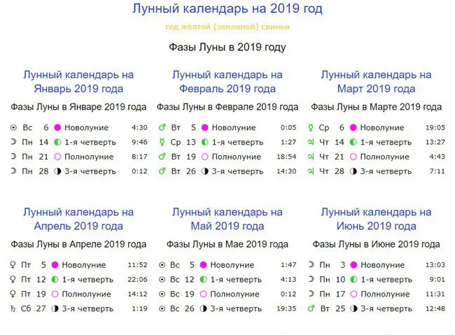 Lunar sowing calendar for January 2019: a detailed diagram for gardeners and gardeners + table