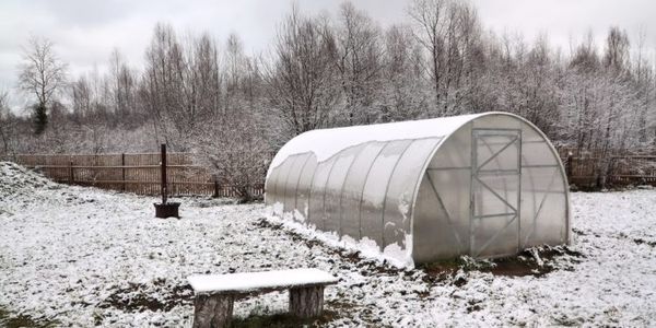 Lunar sowing calendar for January 2019: a detailed diagram for gardeners and gardeners + table