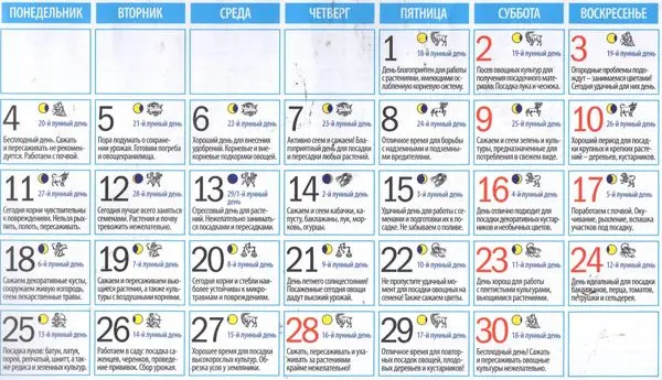 Lunar sowing calendar gardener gardener for june 2022