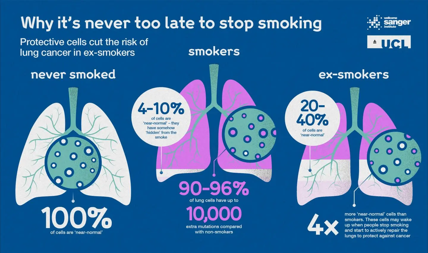 Lung cancer still too late to be detected