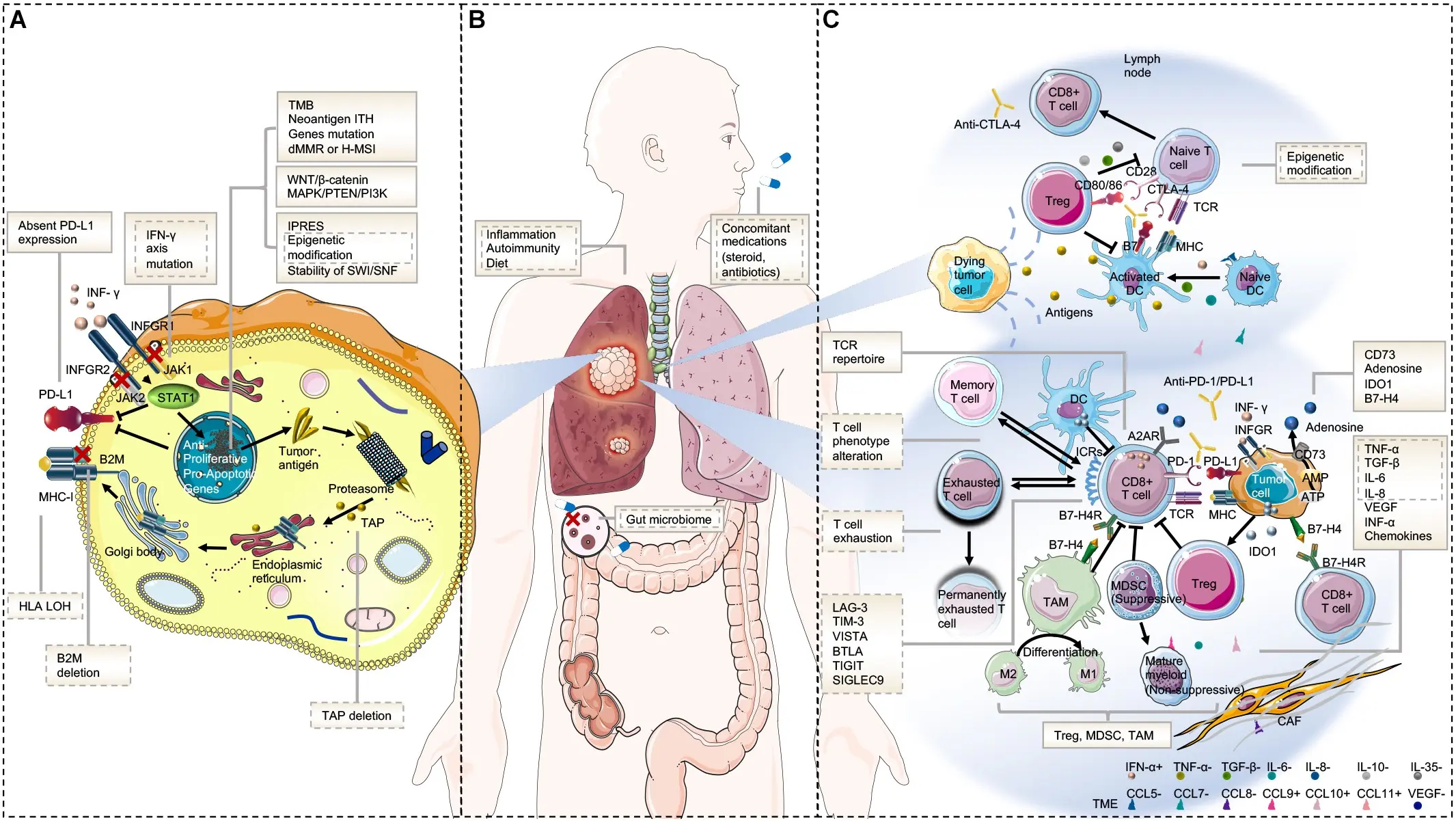 Lung cancer &#8211; the killer of Poles