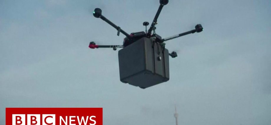 Lungs for transplant transported by a drone