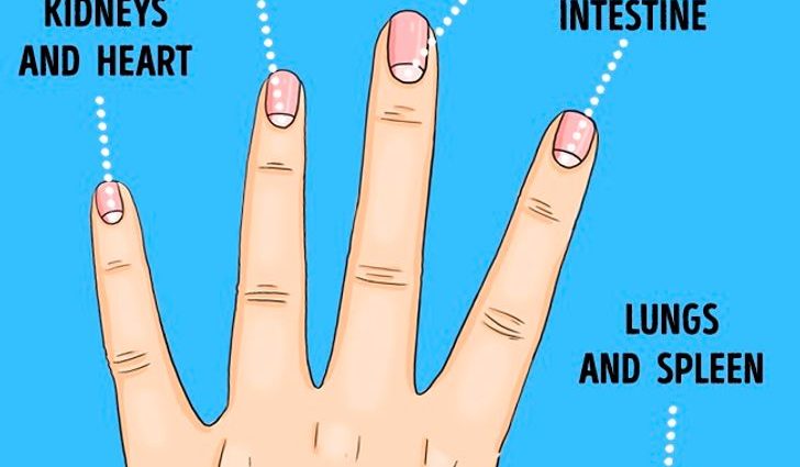 Lunules on your nails &#8211; when do they appear and what do they say about your health?