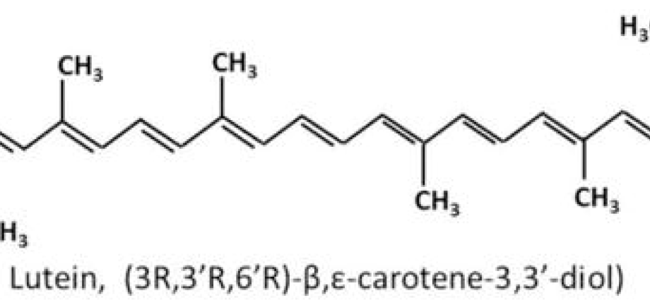 Lutein 50 &#8211; the most important information about the substance that facilitates pregnancy