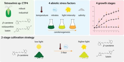 Lutein &#8211; production, normal levels, functions