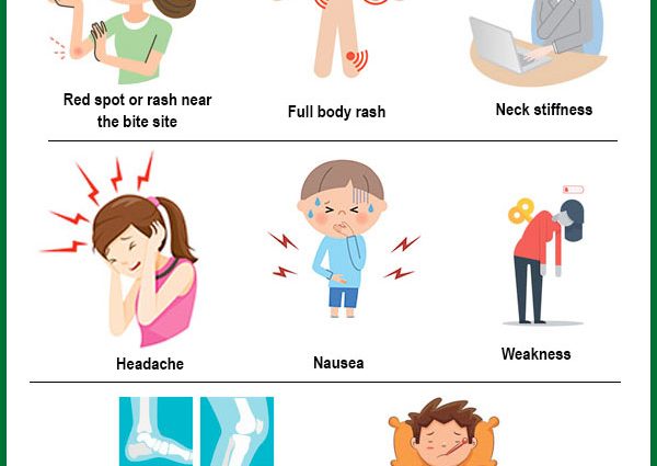 Lyme disease attacks. More and more Poles are ill. Don&#8217;t ignore these symptoms