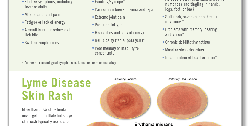 Lymphatic borreliosis &#8211; symptoms and diagnosis of the disease