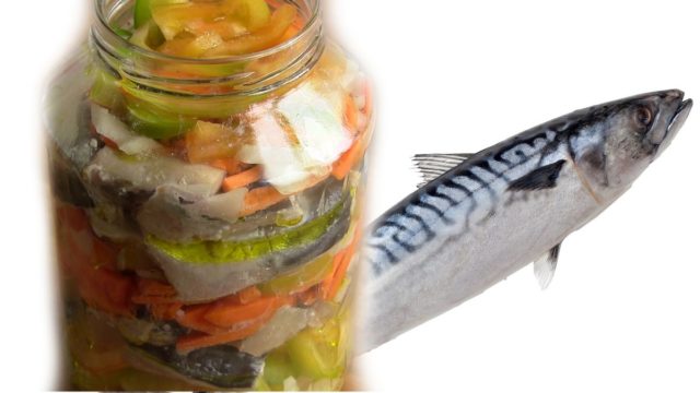 Mackerel salad for the winter