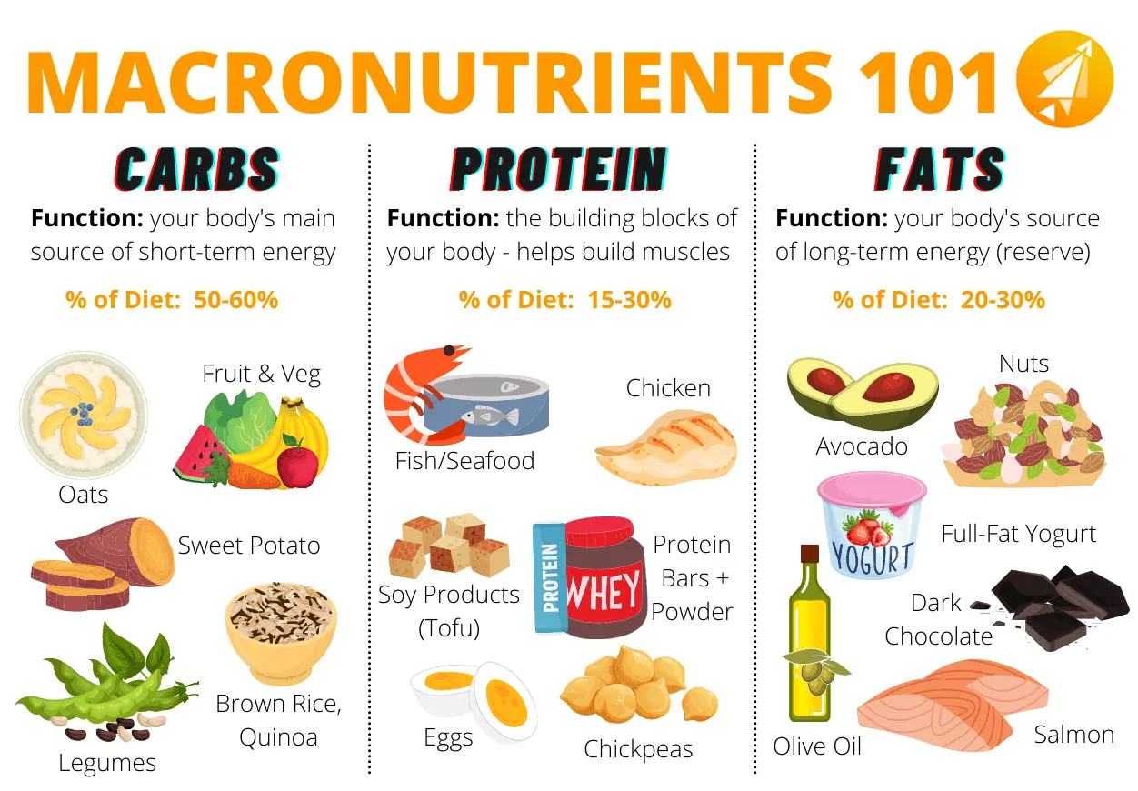 Macronutrients in the human body &#8211; functions, the most important macronutrients