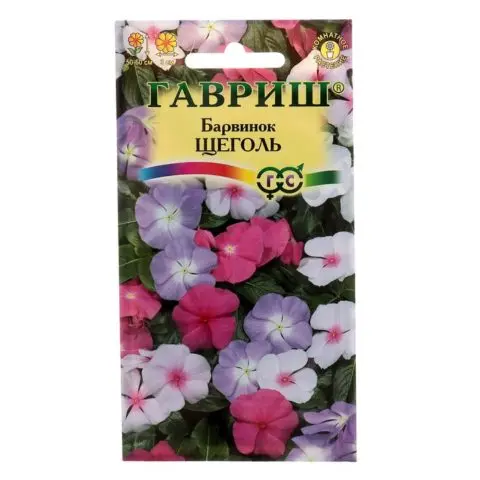 Madagascar periwinkle (pink catharanthus (Vinca)): benefits and harms, folk recipes