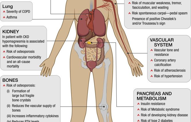 Magnesium excess &#8211; causes, symptoms