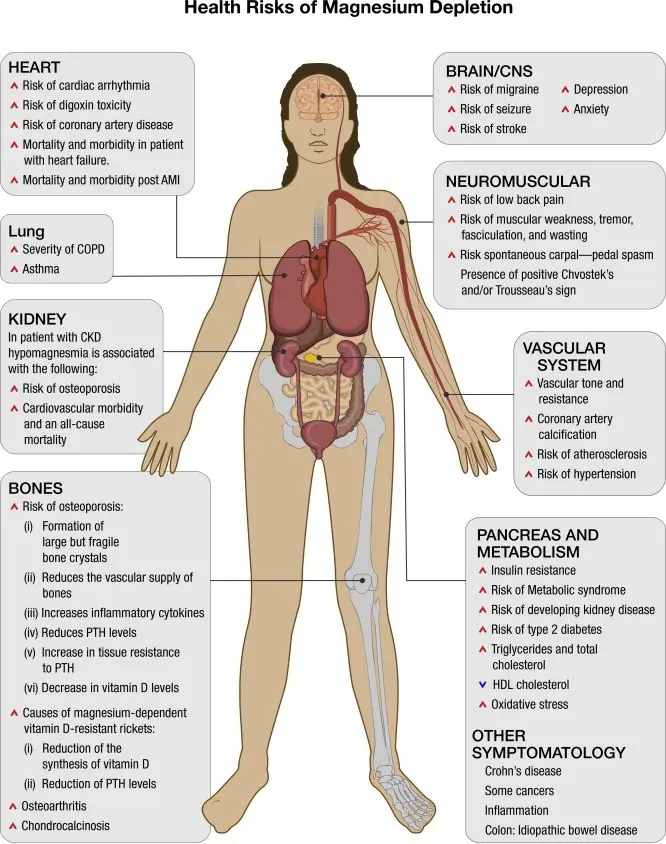 Magnesium excess &#8211; causes, symptoms