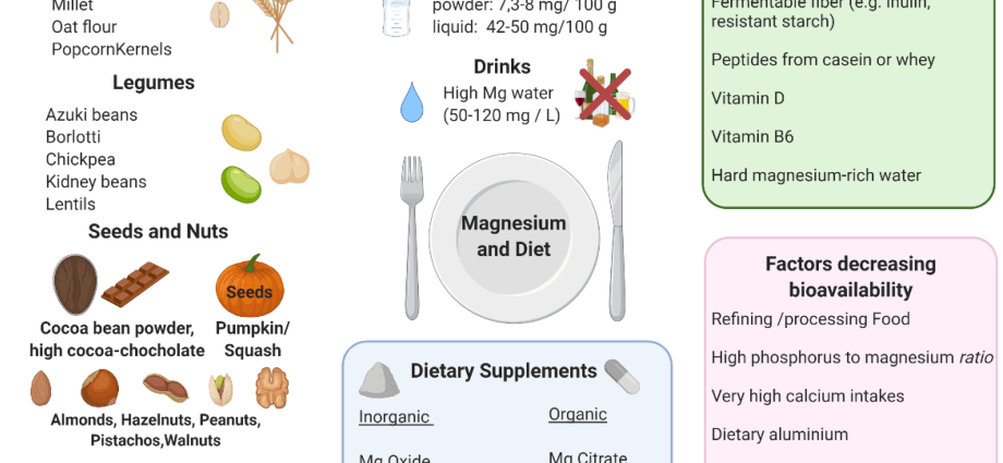 Magnesium &#8211; functions, tests, norms. What do low and high magnesium levels indicate?