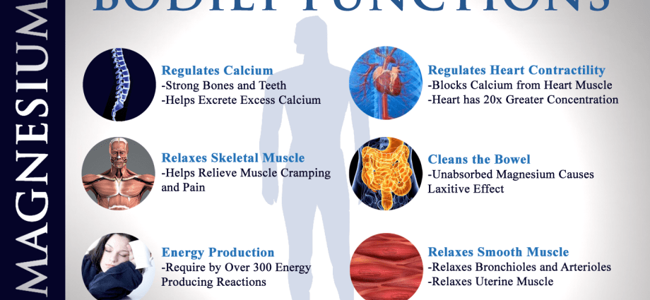 Magnesium necessary for the brain