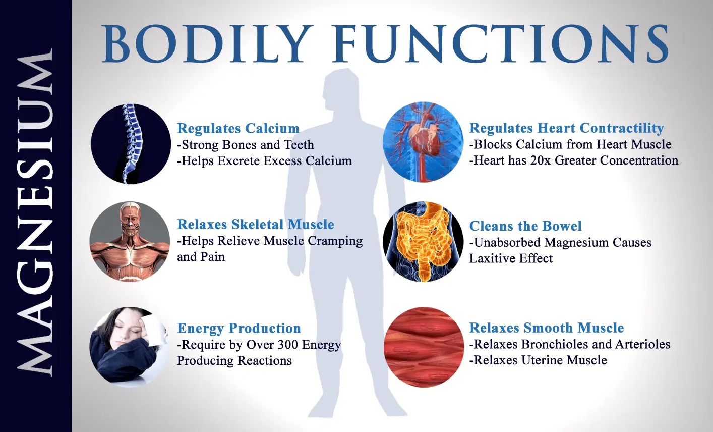 Magnesium necessary for the brain