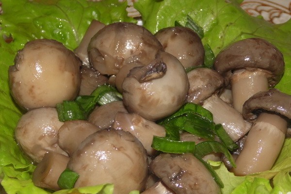 Main dishes with champignons: homemade recipes