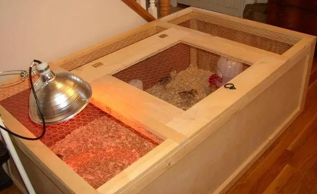 Making a brooder for turkeys