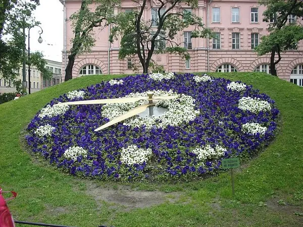 Making a round flower bed: luxurious ideas + inspiring photos