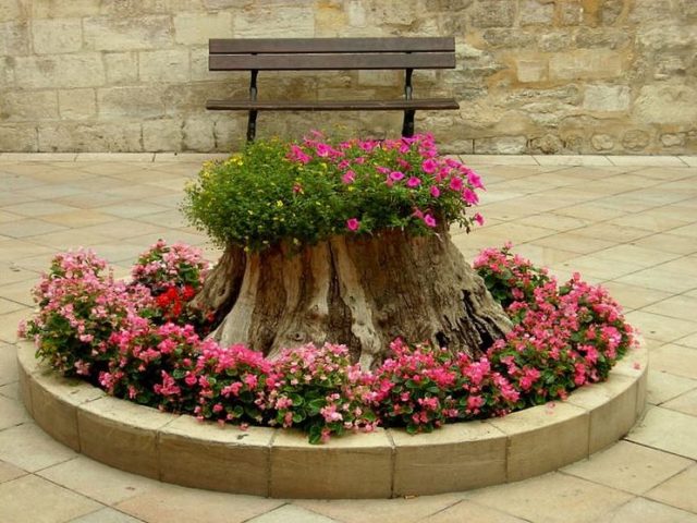 Making a round flower bed: luxurious ideas + inspiring photos