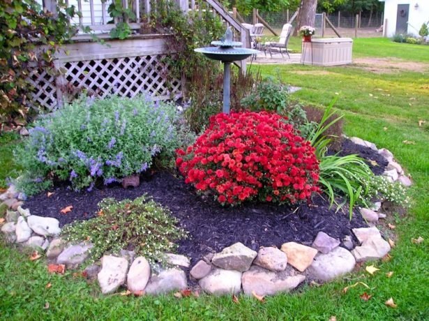 Making a round flower bed: luxurious ideas + inspiring photos