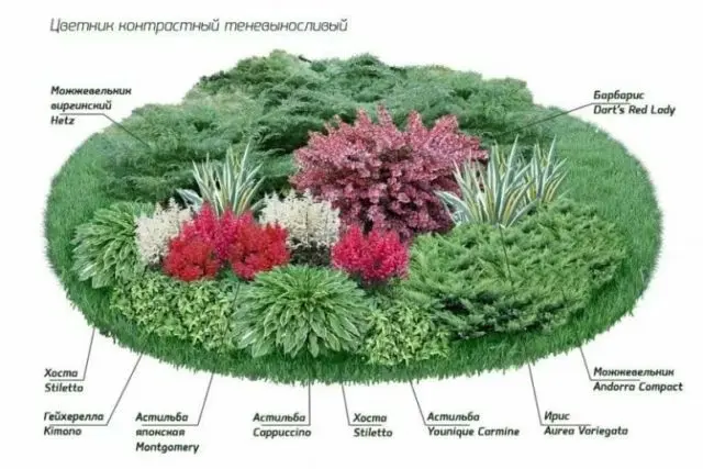 Making a round flower bed: luxurious ideas + inspiring photos