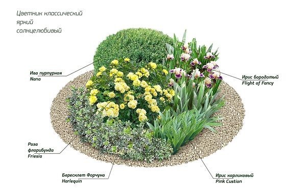 Making a round flower bed: luxurious ideas + inspiring photos