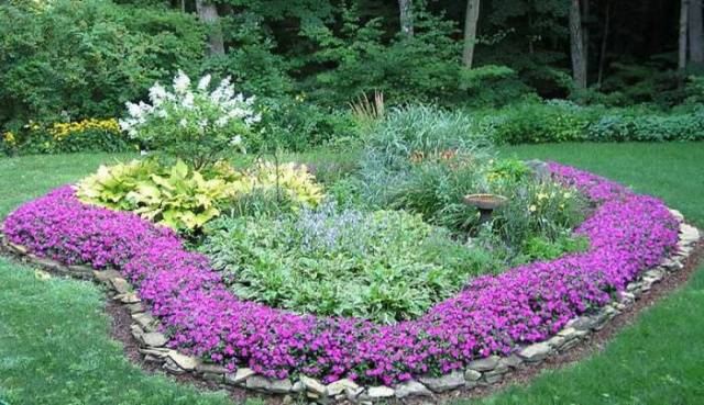 Making flower beds in the country with your own hands + photo