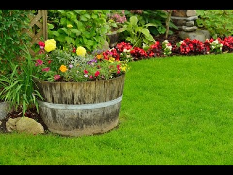 Making flower beds in the country with your own hands + photo