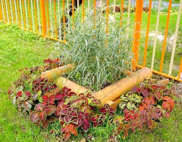 Making flower beds in the country with your own hands + photo