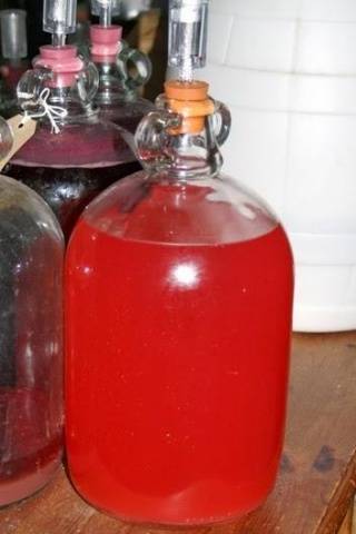 Making homemade rowan wine 