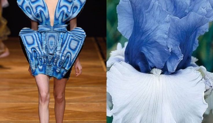 Making paths in the country: classics and original ideas + photos of fashion design options in 2022