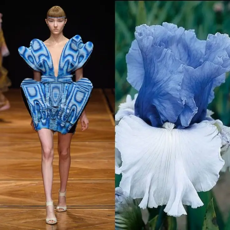 Making paths in the country: classics and original ideas + photos of fashion design options in 2022