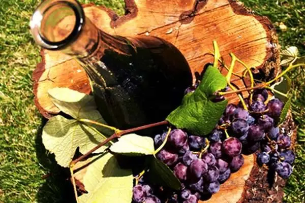 Making wine from grapes at home: a recipe