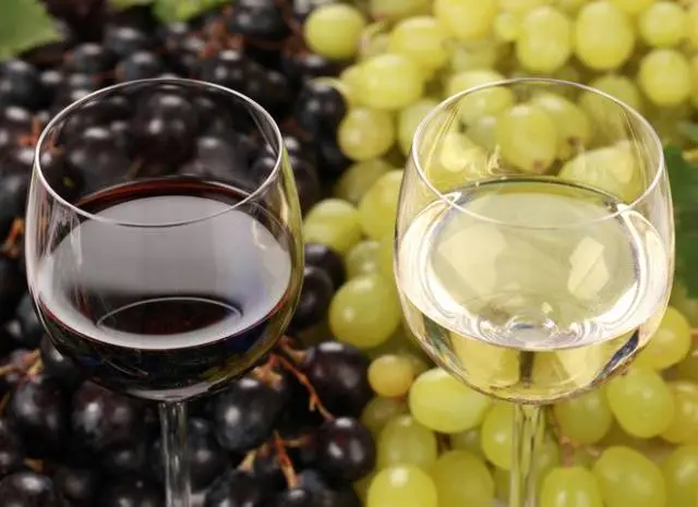 Making wine from grapes at home: a recipe