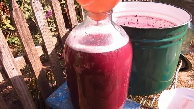 Making wine from grapes at home: a recipe